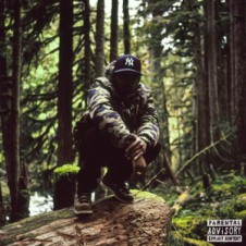 Remy Banks – higher. (2015)