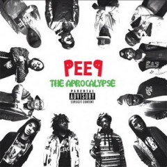 Pro Era – Peep The Apocalypse (2012)