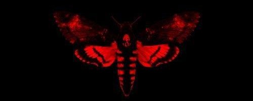 Lil Wayne – I Am Not a Human Being II (Target Deluxe Edition) (2013)