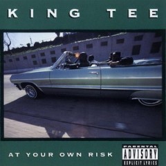 King Tee – At Your Own Risk (1990)