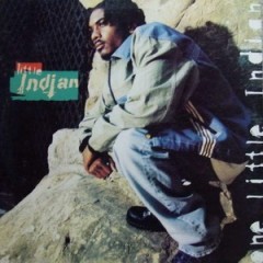 Little Indian – One Little Indian (1995)