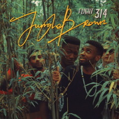 Jungle Brown – Flight 314 (2016)