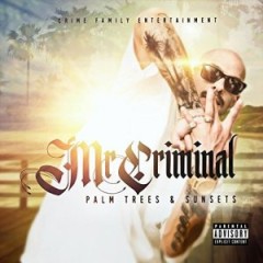 Mr. Criminal – Palm Trees and Sunsets (2017)