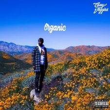 Casey Veggies – Organic (2019)