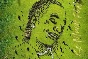 Young Thug – So Much Fun (2019)