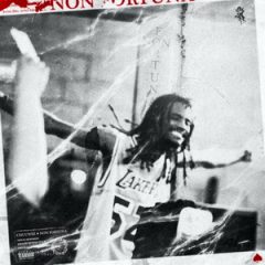 Chuuwee – Non Fortuna (2019)