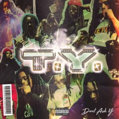 T.Y. – Don’t Ask Y (2020)