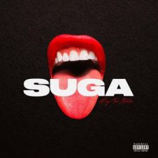 Megan Thee Stallion – Suga (2020)