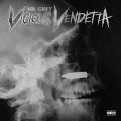Mr. Grey – Vicious Vendetta (2020)