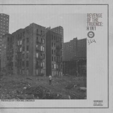 Revenge Of The Truence & Endemic Emerald – H1N1 (2020)