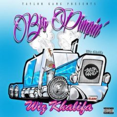 Wiz Khalifa – Big Pimpin’ (2020)