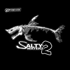 Optimystic – Salty Waterz 2 (2020)