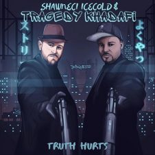 Shawneci Icecold & Tragedy Khadafi – Truth Hurts EP (2021)