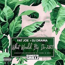 Fat Joe, DJ Drama & Cool & Dre – What Would Big Do (2021)