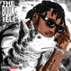 Eli Fross – The Book of Eli (2021)