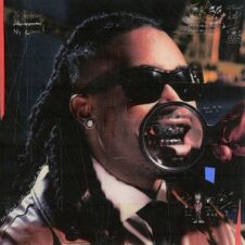 Cochise – The Inspection (2022)