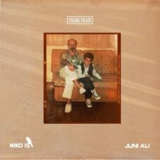 Niko Is & Juni Ali – The Adventures of the Young Viejos (2022)