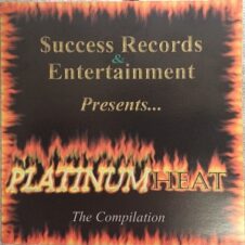 Various Artists – Platinum Heat: The Compilation (1999)