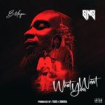 B.MORGAN – What You Want ft SNS (2023) Listen