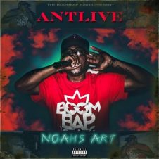Ant Live (MF911) – Noah’s Art (2023)