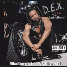D.E.X. – What They Want What They Need (1999)