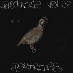 Valee & Black Noi$e – Partridge (2024)