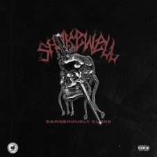 Shakewell – Dangerously Close (2024)