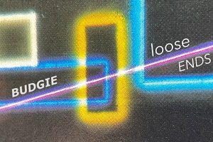 Budgie – Loose Ends (2024)