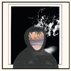 Doseone & Steel Tipped Dove – All Portrait, No Chorus (2025)