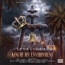 Young Trav – King of My Environment (2025)