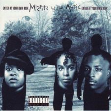 Misfits In The Attic – Enter At Your Own Risk (1994)