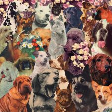 sleepingdogs (Jesse the Tree & andrew) – DOGSTOEVSKY (2025)