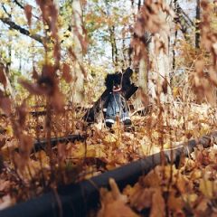 Billy Woods – GOLLIWOG (2025)