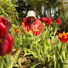 Jay Exodus – Flowers Never Bloom Before the Sun Comes (2025)