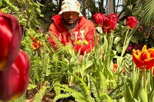 Jay Exodus – Flowers Never Bloom Before the Sun Comes (2025)