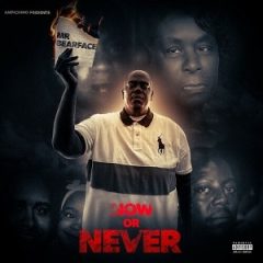 Mr Bearface – Now or Never (2025)