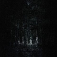 Pouya – POUYA (2025)