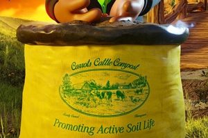 Anwar Carrots – Soil (2025)