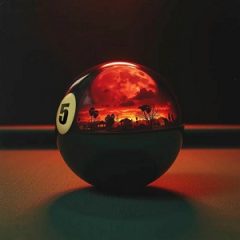 Left Brain – Wild Fire Five Ball (2025)