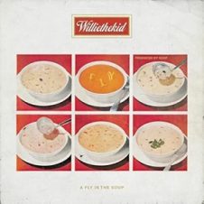 Willie the Kid & Soop – A Fly in the Soup (2025)