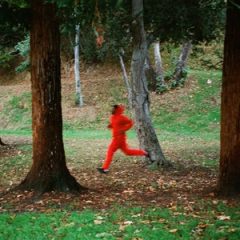 Domo Genesis & Graymatter – SCRAM! (2025)