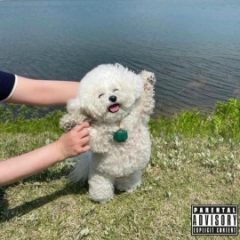 Blu, MED & Bane Capital – Good Men Die Like Dogs (2025)