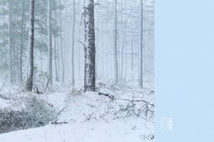 Mighty Theodore – The Colder It Gets (2026)