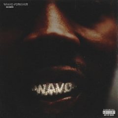 Hus Kingpin – WAVO Forever (2026)