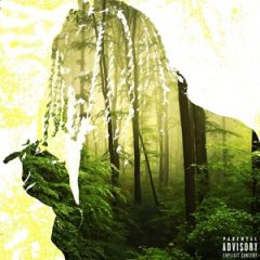 Yung Kayo – komodo (2026)