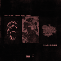 Wallie the Sensei – MAD Dogg: The Mixtape Vol. 1 (2026)