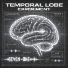 Y.N.X.716 – Temporal Lobe Experiment (2026)