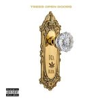 Smoke DZA & Memphis Bleek – Trees Open Doors (2026)