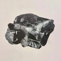 Snotty & Goodphella – Wolves Don’t Wear Collars (2026)