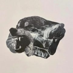 Snotty & Goodphella – Wolves Don’t Wear Collars (2026)